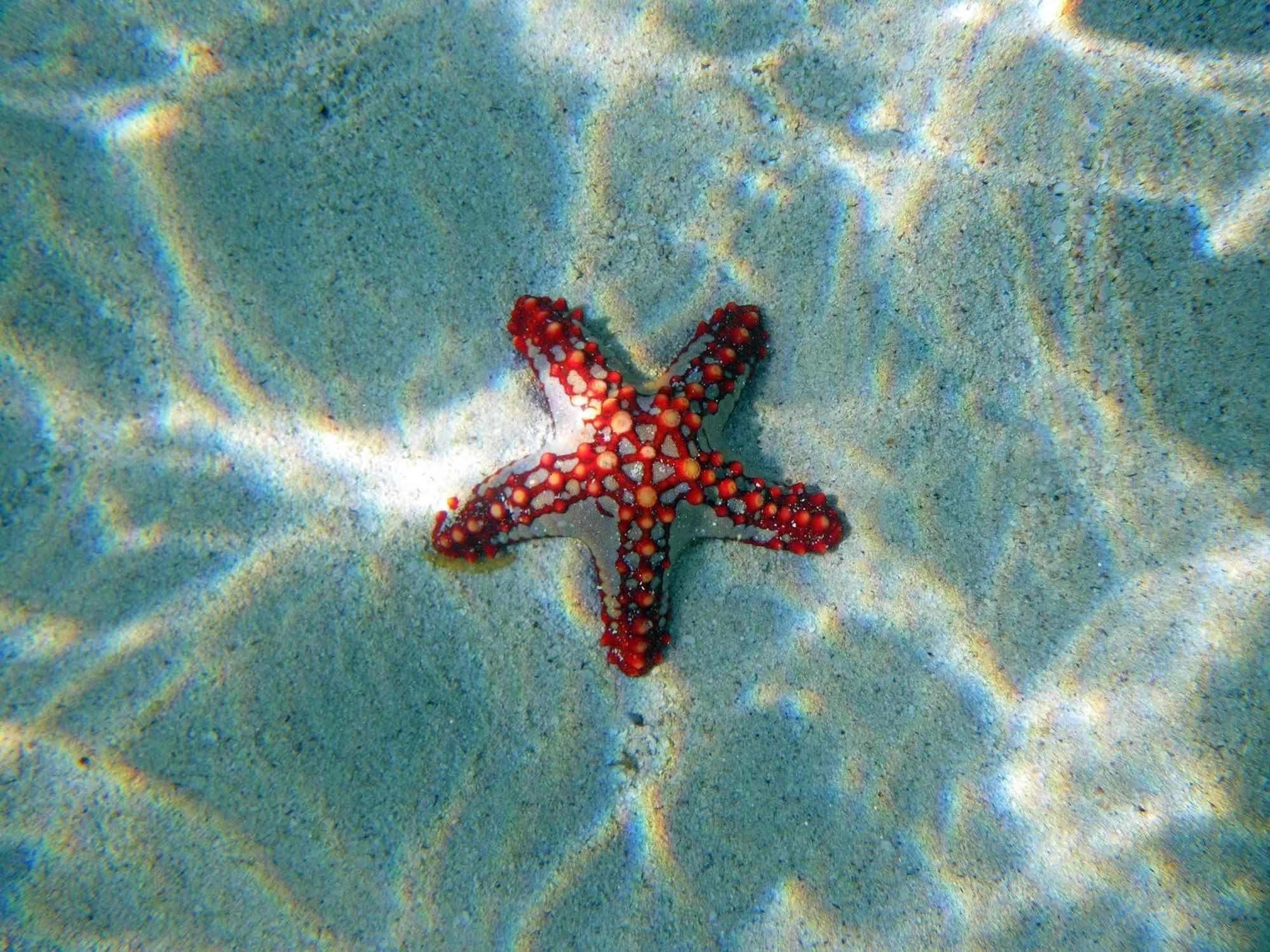 Twiga Beach Resort Watamu Esterno foto